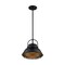 Nuvo Fixture, Pendant, 1-Light, Incandescent, 60W, 120V, A19, Medium Base 60/7074 - alternate 3